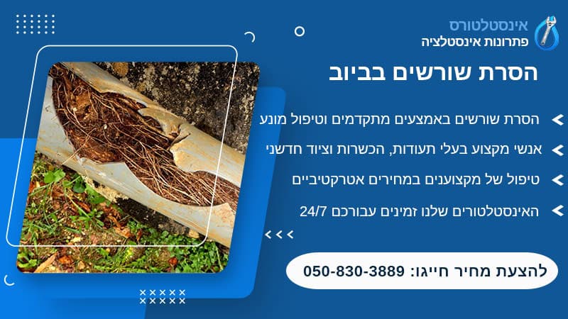 הסרת שורשים בביוב