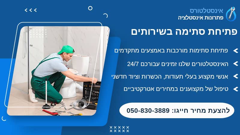 פתיחת סתימה בשירותים